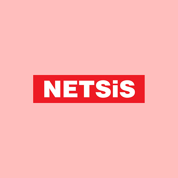 Netsis