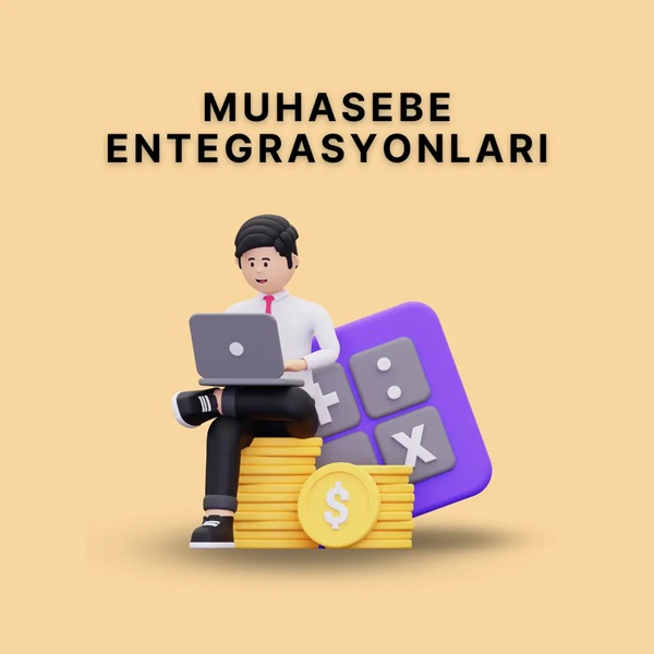 Muhasebe Entegrasyonları