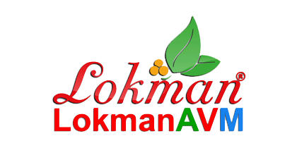 Lokman AVM